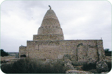 Şeyx Mənsurun gəlişi və hərəkətləri